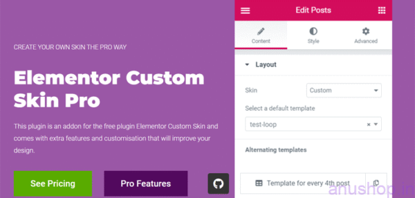 Elementor Custom Skin Pro GPL